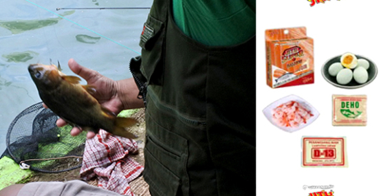 Umpan Air Tawar : Racikan Umpan Ikan Mas Jitu Super Salmon