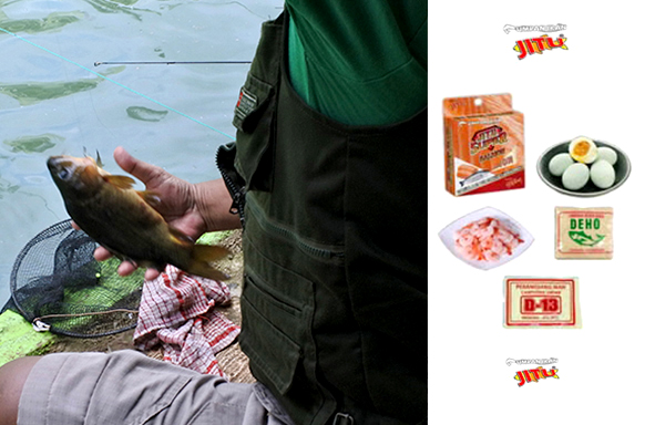 umpan-air-tawar-:-racikan-umpan-ikan-mas-jitu-super-salmon