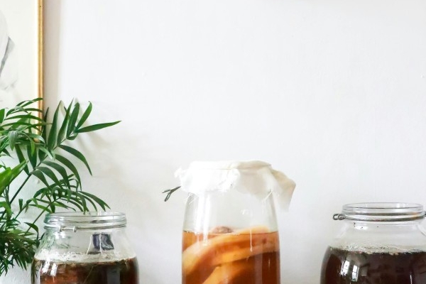 sehat!-ini-7-manfaat-kombucha-untuk-kesehatanmu