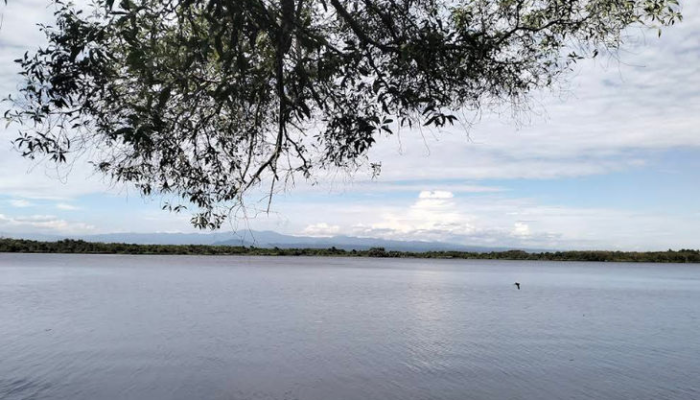 danau-dendam-tak-sudah,-harmoni-alam-dan-legenda-di-jantung-bengkulu