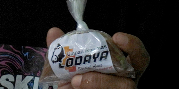 Lodaya Spesial Amis : Umpan Viral Ikan Mas by Cadel 76, Untuk Harian, Pelampungan, Galapung