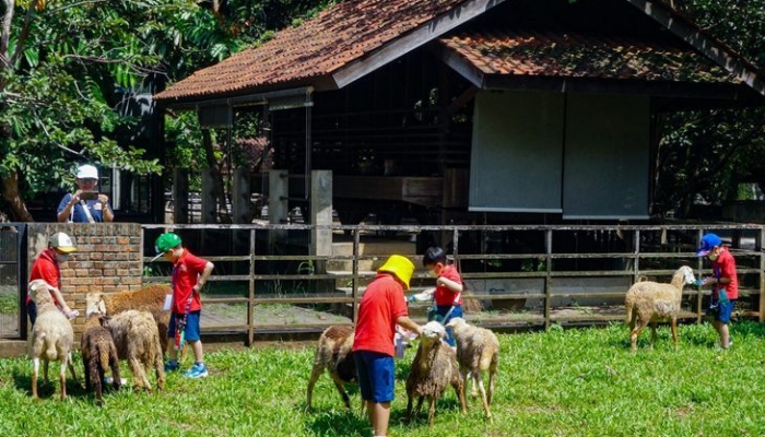 kuntum-farmfield-bogor,-wisata-ramah-anak-yang-tawarkan-pengalaman-bertani-dan-beternak