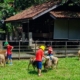 kuntum-farmfield-bogor,-wisata-ramah-anak-yang-tawarkan-pengalaman-bertani-dan-beternak