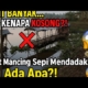 Gak Masuk Akal❗️Spot Mancing Bagus Kok Sepi Pemancing | Mancing Saguling Terbaru