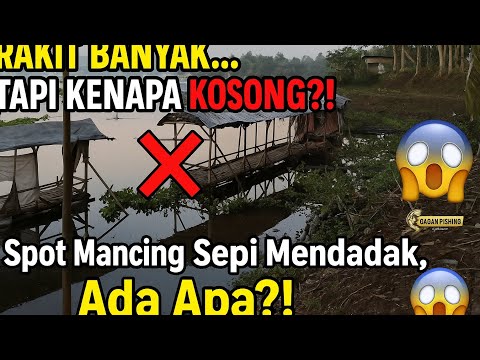 Gak Masuk Akal❗️Spot Mancing Bagus Kok Sepi Pemancing | Mancing Saguling Terbaru