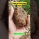 bahan batu akik red baron pacitan #batuakik #batuakikpacitan #gemstone #batumulia #viral