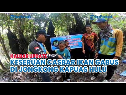 Keseruan Casbar Ikan Gabus di Jongkong Kapuas Hulu