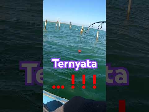 “TERNYATA….‼️‼️” Bukan Target