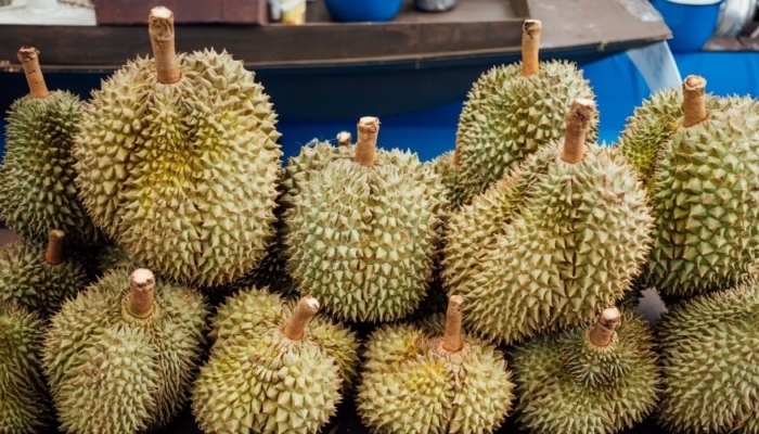 durian-lovers-wajib-merapat!-7-tempat-makan-durian-di-medan-yang-rasanya-juara