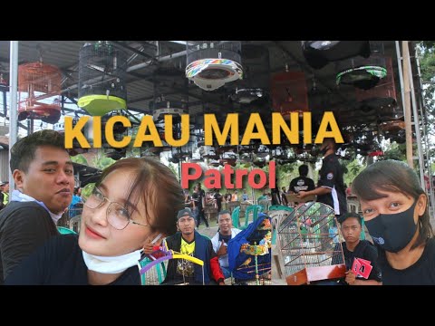 Lomba Kicau Mania | Rebutkan piala Kuwu Patrol Baru cup  | BNR Indramayu