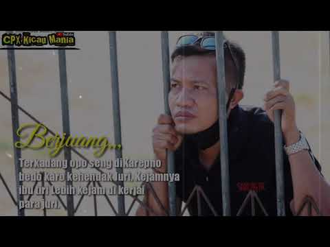 Story kicau mania keren semua akan indah pada waktunya