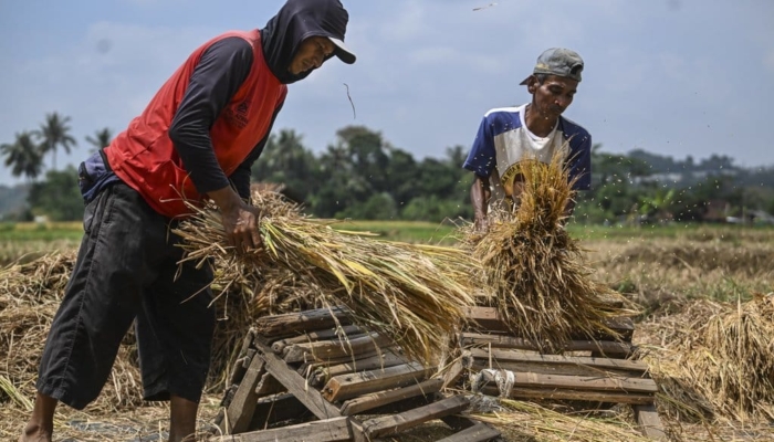 petani-gunungkidul-panen-3-kali-setahun-berkat-irigasi-air-tanah