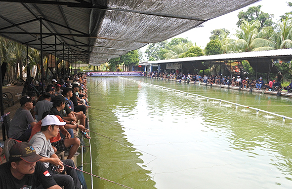 ‘bayu-mandiri-cup-2025-x-daimaru’,-total-ikan-1-ton,-juara-induk-1-arsakha-fishing
