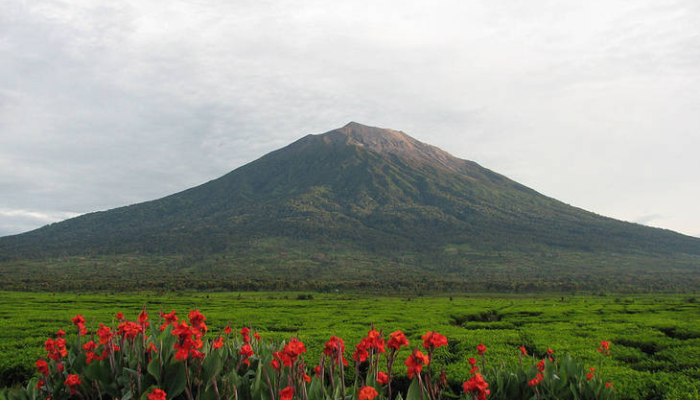 inilah-10-gunung-tertinggi-di-sumatra,-nomor-1-masuk-seven-summits-indonesia!