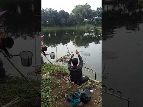 mancing saguling terbaru spot bleseng legok atub cimariuk