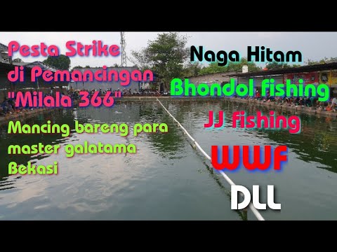 Mancing Bareng di kolam Milala 366, bersama komunitas ternama di Bekasi.