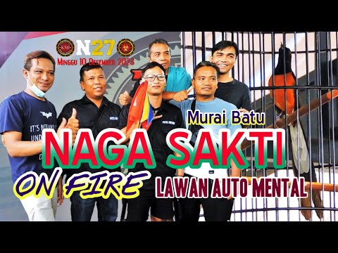 Murai Batu ” Naga Sakti ” Winner – On fire bikin lawan Auto Mental | Mr.Andreas – Puzzel Bintaro