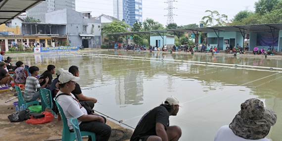 Lomba Minggu di Telaga Enjoy, Ikannya Makanin Banget, Nextop Juara Induk 1