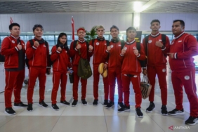 tarung-campuran-sumbang-empat-perunggu-bagi-indonesia-di-ayg-2025