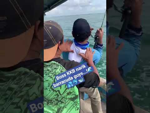 STRIKE BARRACUDA DI LAUT AMBULU…!