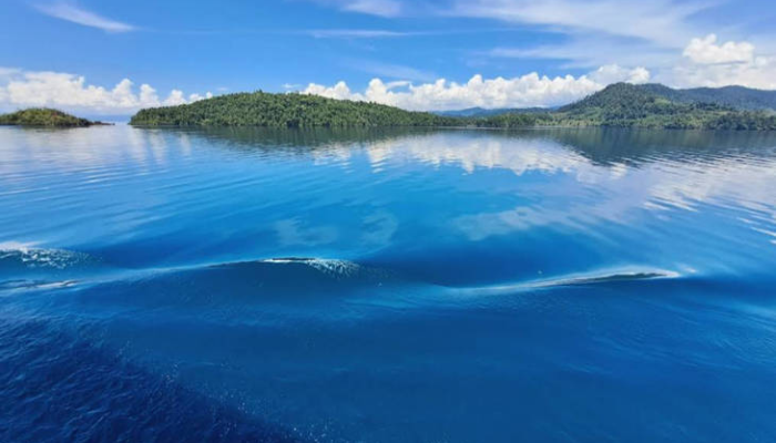 danau-towuti,-danau-tektonik-purba-dengan-keanekaragaman-hayati-unik