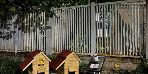 Rezekiku, Rezeki Anabul: Kisah Ananda Arief, Pahlawan Kucing dari Rel ke Rel