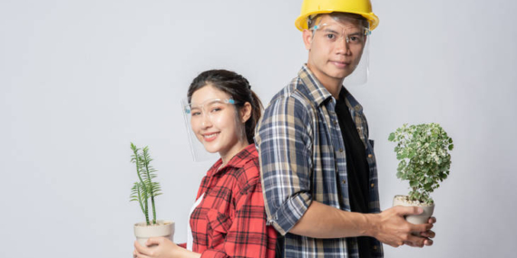 24 Juta Lapangan Kerja Baru Menanti: Kemendiktisaintek Godok Kurikulum Berwawasan Green jobs