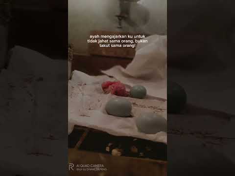 story wa kicau mania #kicaumania #kicaustory #kicaumaniaindonesia