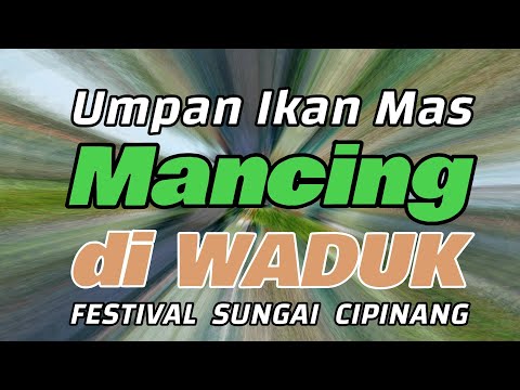 Umpan Coklat di Festival Sungai Cipinang
