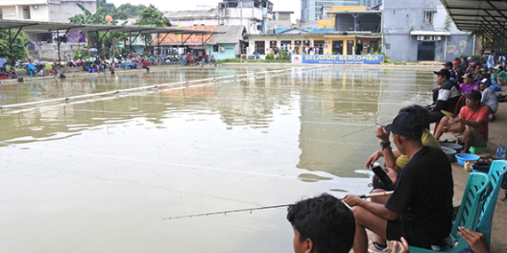 Telaga Enjoy : Pelampungan Mas, Lomba Kamis Tiket 1,2 Juta, Minggu 1,5 Juta