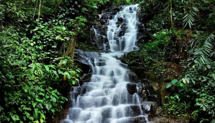 air-terjun-irenggolo,-air-terjun-berundak-di-lereng-gunung-wilis-kediri