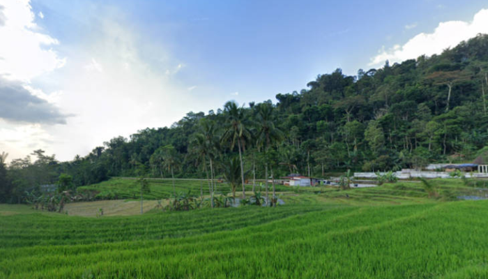 wisata-kalikesek,-menikmati-ketentraman-alam-pedesaan-di-kabupaten-kendal