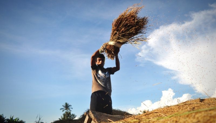 mengenal-bobibos,-bahan-bakar-dari-jerami-inovasi-anak-bangsa