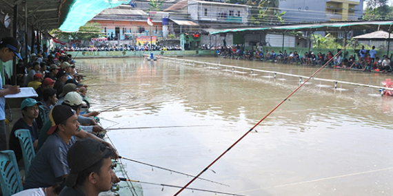 Nayla Fishing : Galapung Ikan Mas Buka Setiap Hari 2 Sesi, Jumat Libur