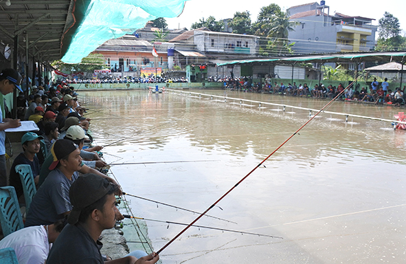 nayla-fishing-:-galapung-ikan-mas-buka-setiap-hari-2-sesi,-jumat-libur