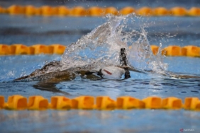 possi-terus-dorong-olahraga-selam-kembali-dipertandingkan-di-sea-games