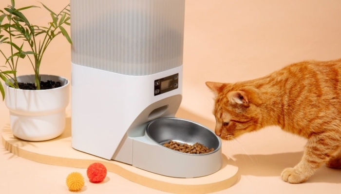 9-jenis-perlengkapan-kucing-yang-wajib-dibeli-pawrents-pemula