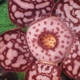 rafflesia-hasseltii-ditemukan-di-pedalaman-hutan-sumatra-usai-13-tahun-pencarian