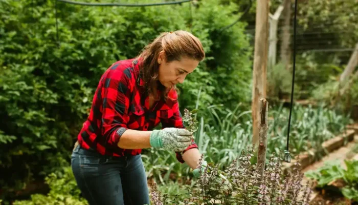 5-jenis-pekerjaan-yang-berhubungan-dengan-alam-&-cara-memulai