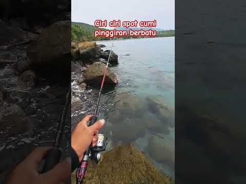 Ciri ciri spot mancing cumi pinggiran