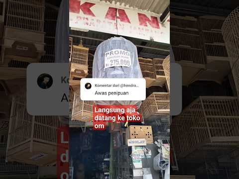 sangkar burung murai murah promo #burung #muraibatu #shorst #termurah