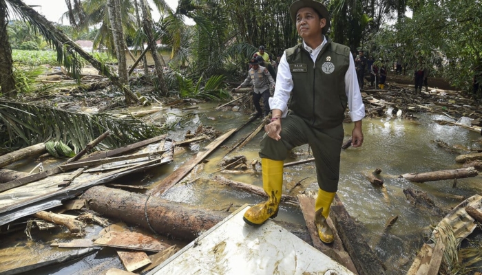 kemenhut-cabut-22-izin-penggunaan-kawasan-hutan-seluas-1-juta-ha