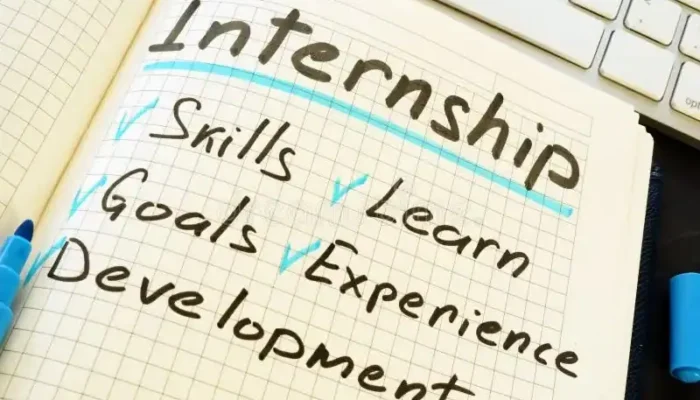 contoh-pembagian-tugas-internship-per-departemen