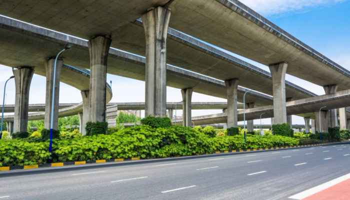 cerita-urban-farming-di-kolong-tol-becakayu,-jakarta-timur