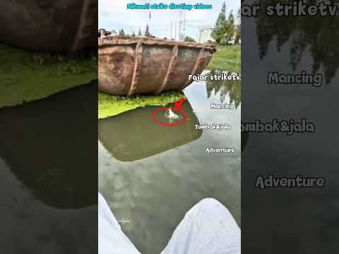 TERUNGKAP!!Pria ini berhasil dua kali strike!” #shortsfeed #fishing