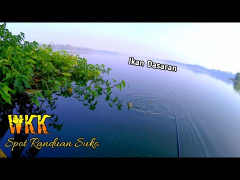 mancing nila liar WKK || Spot Randuan Suko