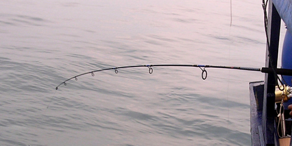 Tips & Trik Menaklukkan Ikan di Laut Untuk Para Maniak Laut