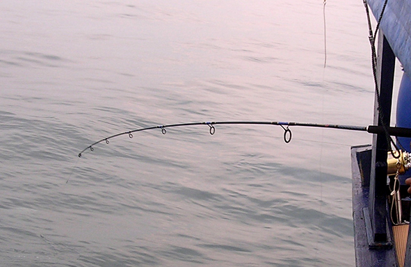 tips-&-trik-menaklukkan-ikan-di-laut-untuk-para-maniak-laut