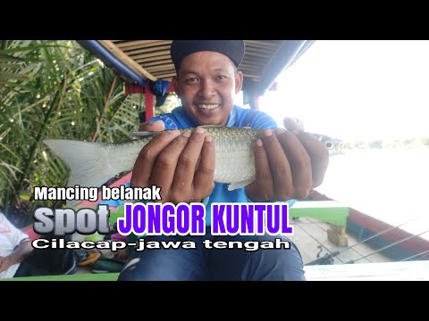 Mancing belanak spot jongor kuntul kampung laut kabupaten cilacap