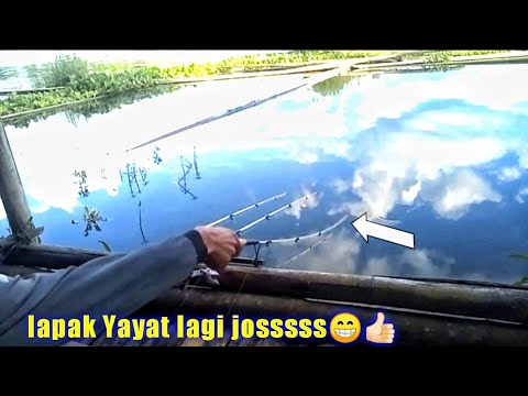 lapak Yayat lagi josssss..!! MANCING MANIA DI SAGULING